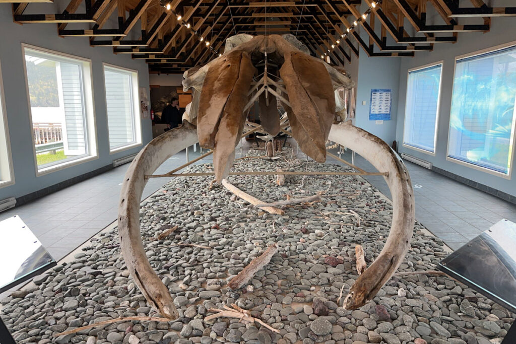 Dr. Jon Lien Whale Pavilion