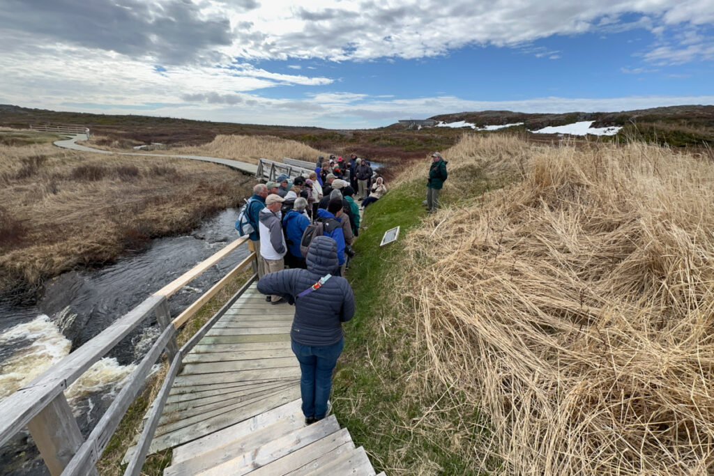 L'Anse aux Meadows