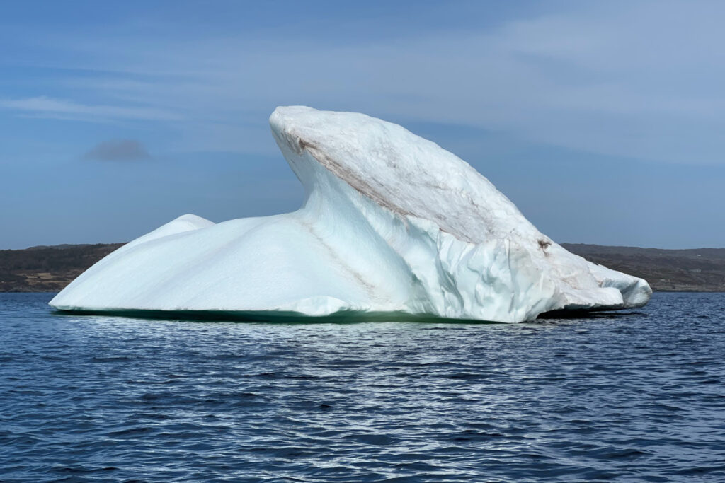 Northland Discovery Boat Tours