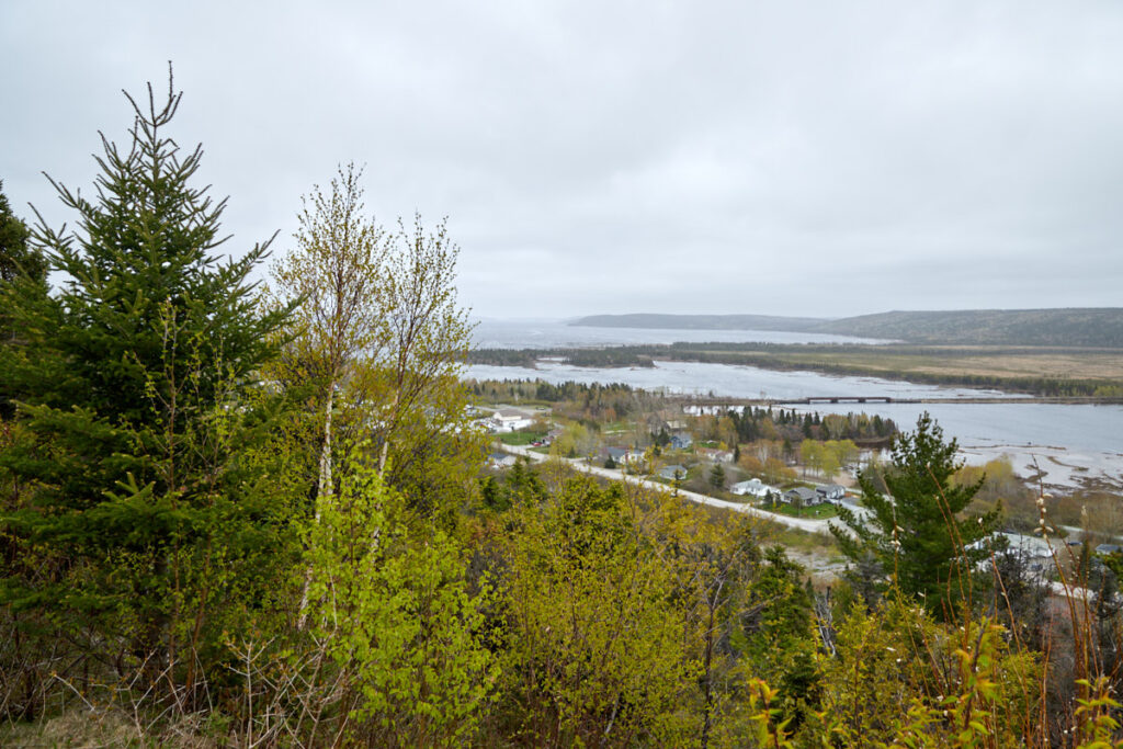 Joey`s Lookout