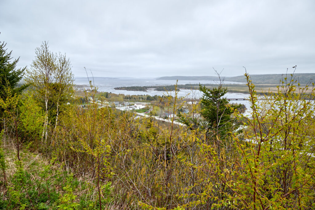 Joey`s Lookout