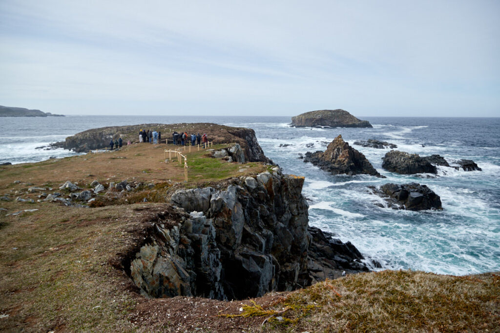 Puffin Viewing Site