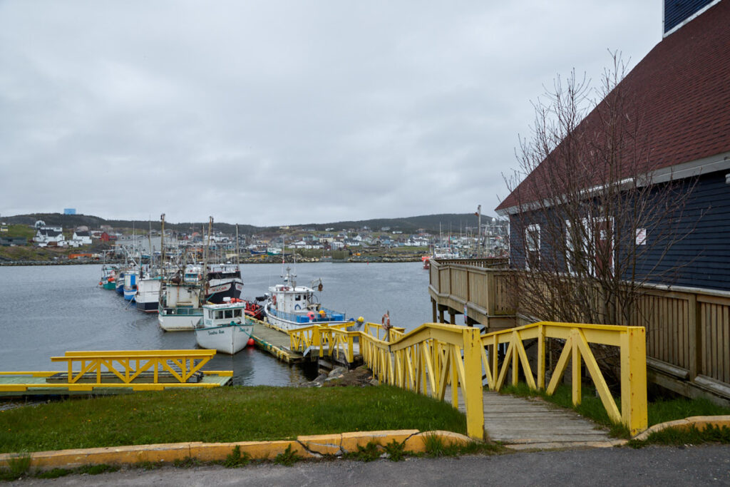 Bonavista