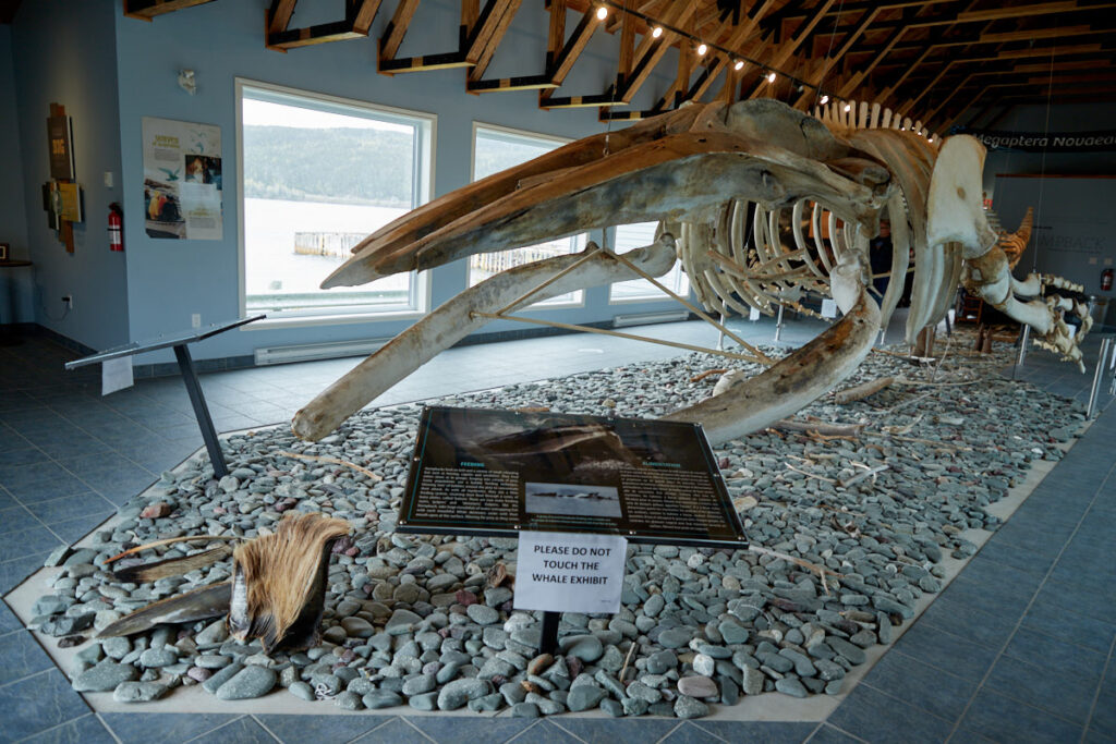 Dr. Jon Lien Whale Pavilion