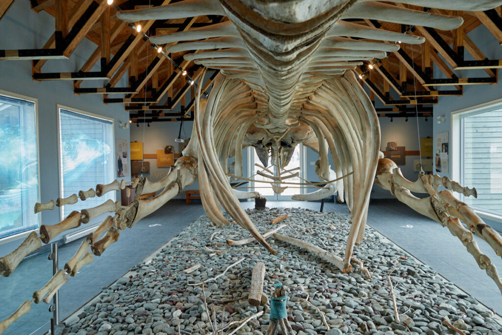 Dr. Jon Lien Whale Pavilion