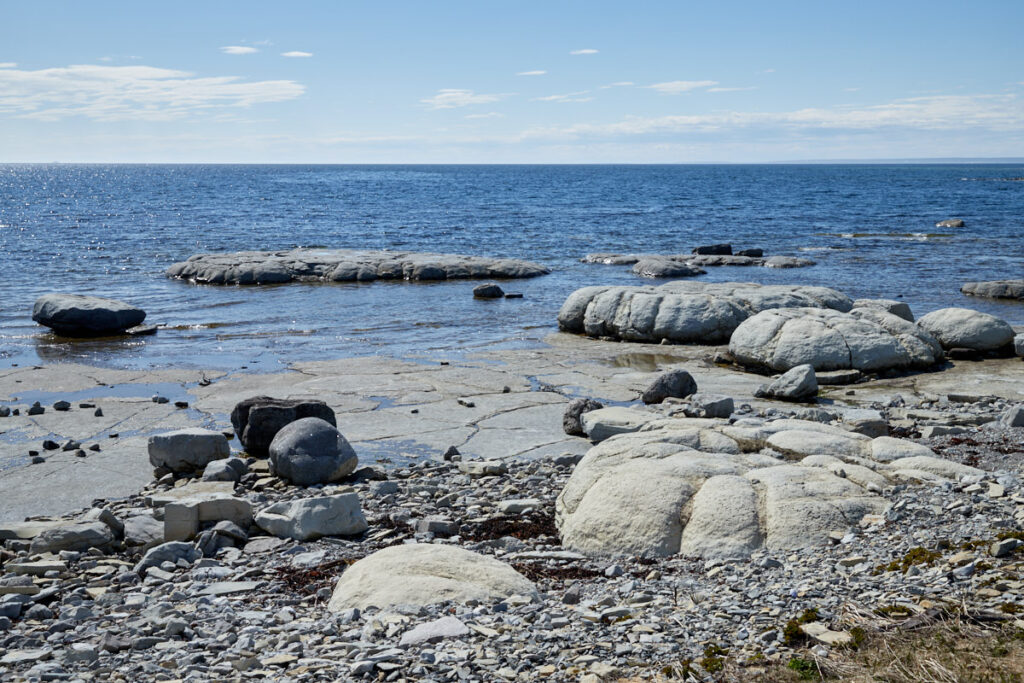 Thrombolites
