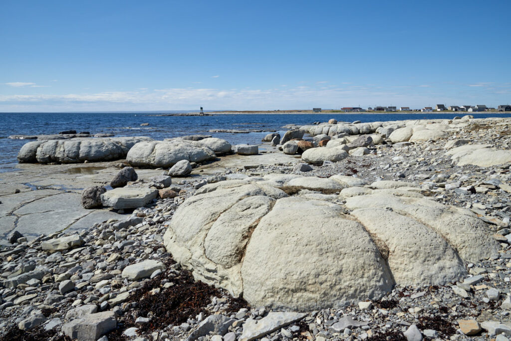 Thrombolites