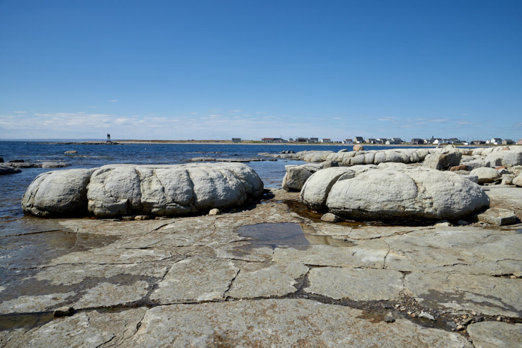 Thrombolites