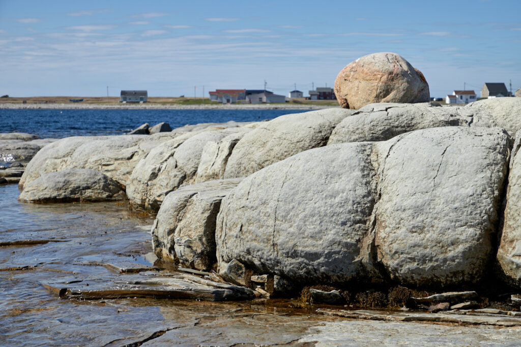 Thrombolites