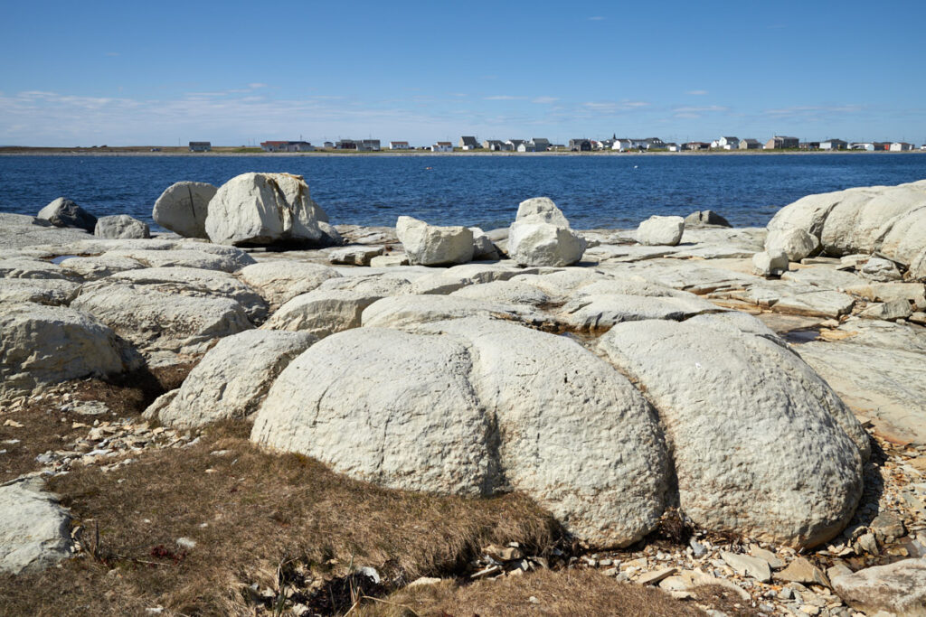 Thrombolites