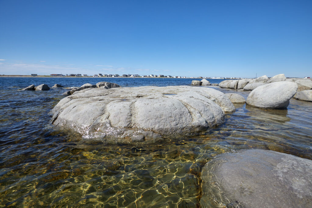 Thrombolites