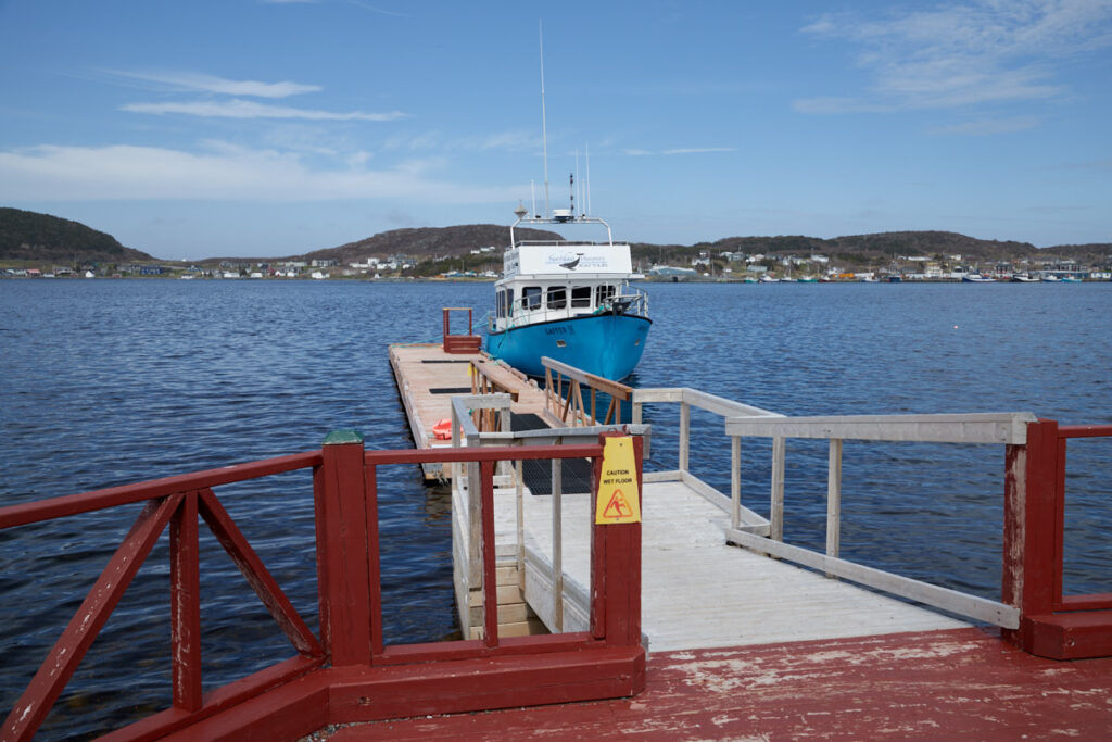 Northland Discovery Boat Tours