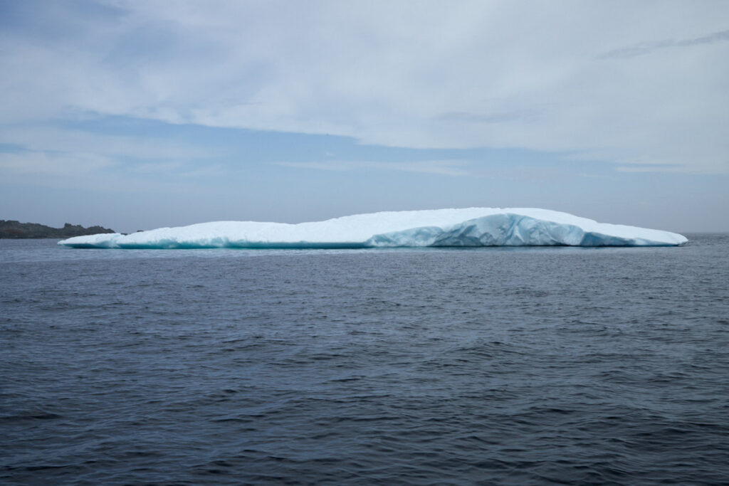 Northland Discovery Boat Tours