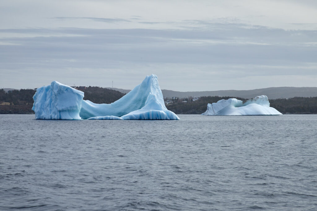 Northland Discovery Boat Tours