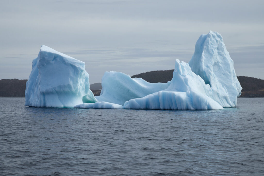 Northland Discovery Boat Tours