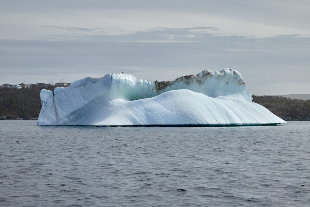 Northland Discovery Boat Tours