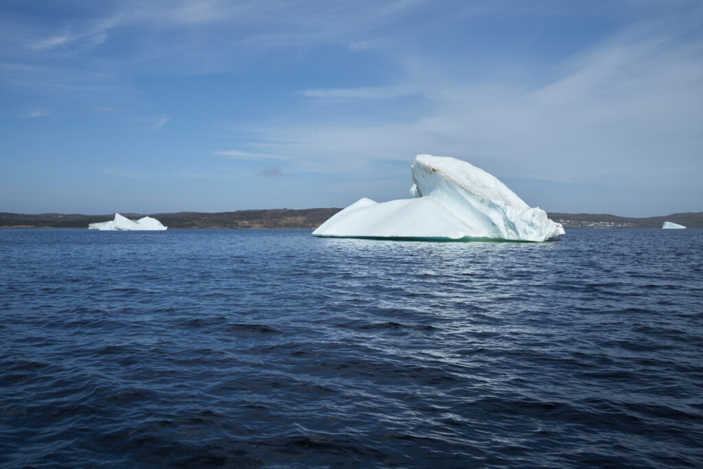 Northland Discovery Boat Tours