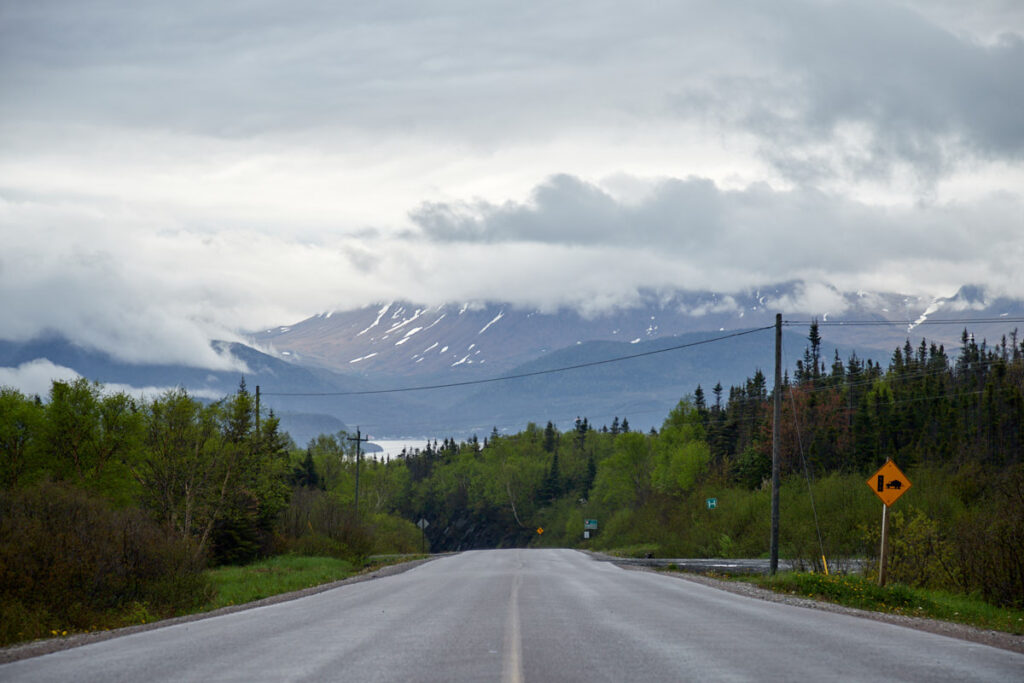 Norris Point