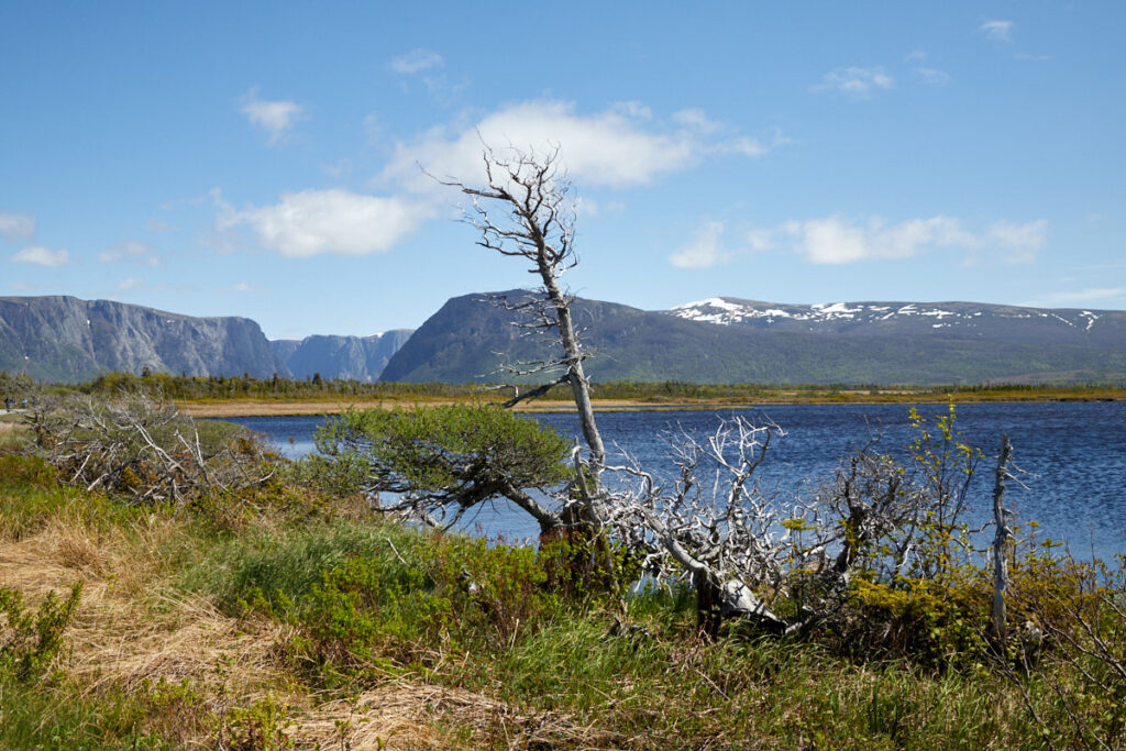 Western Brook Pond