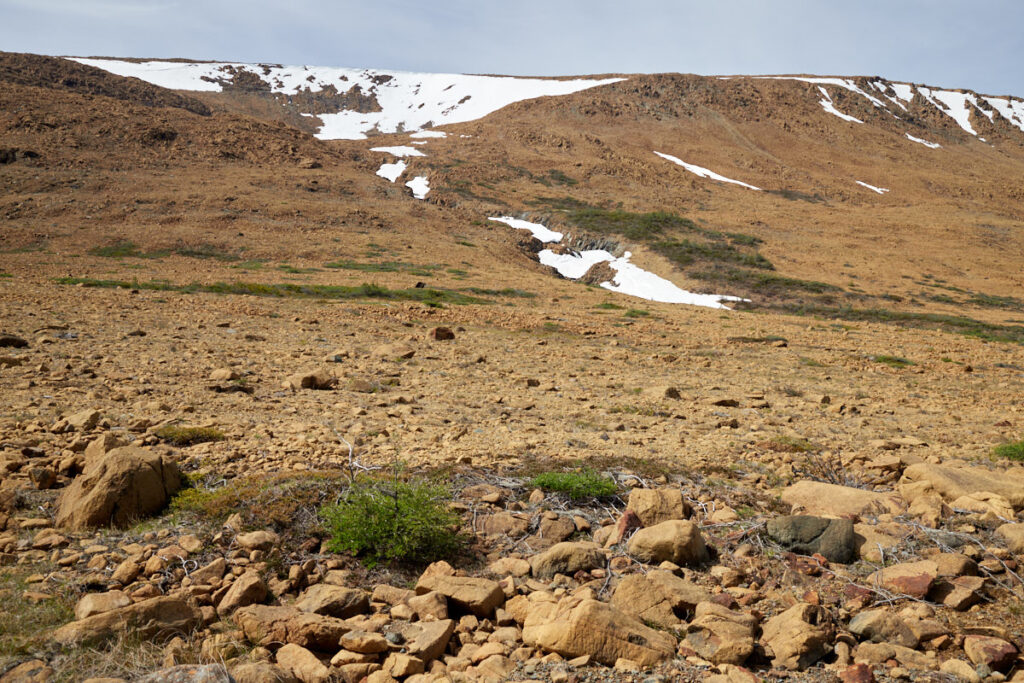 Tablelands