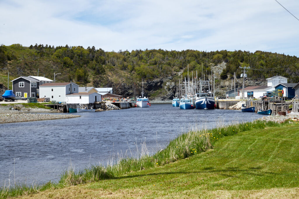 Trout River