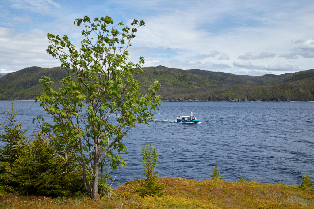 Woody Point/Bonne Bay