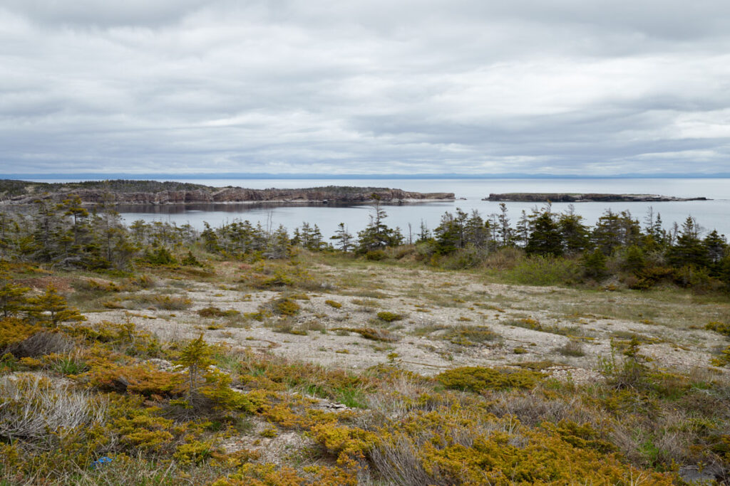 Port au Port Peninsula