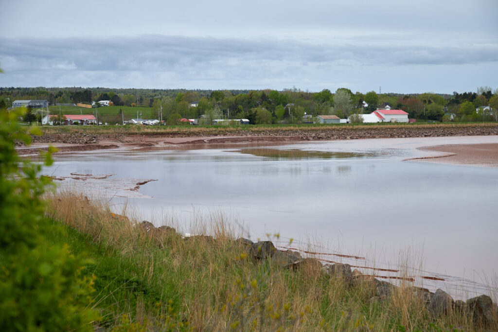 Fundy Discovery Site