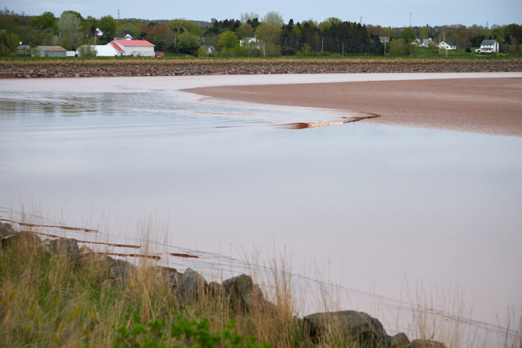 Fundy Discovery Site