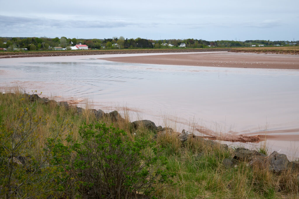 Fundy Discovery Site