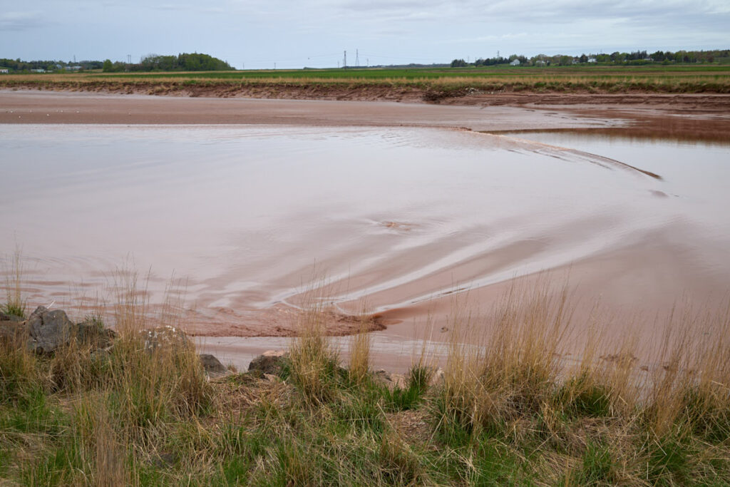 Fundy Discovery Site