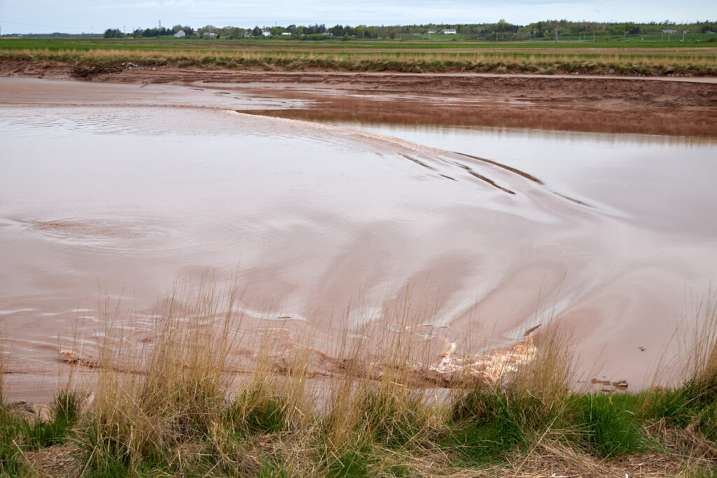 Fundy Discovery Site