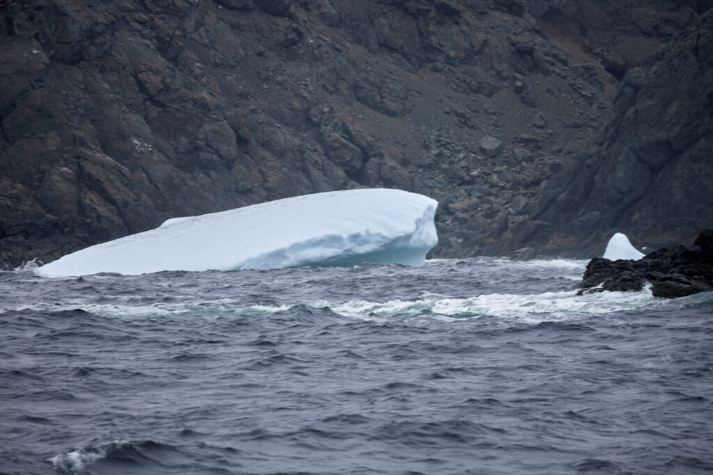 Twillingate