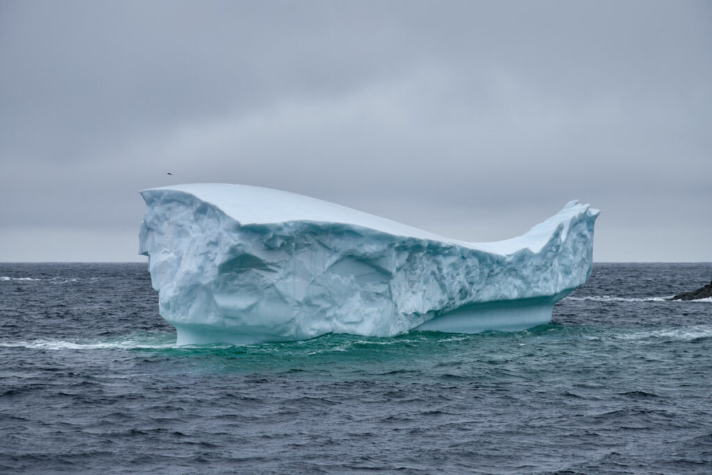 Twillingate