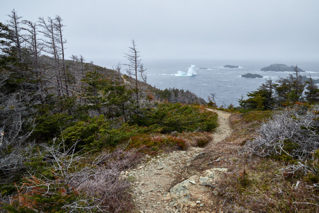 Sleepy Cove