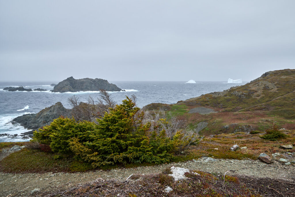 Sleepy Cove