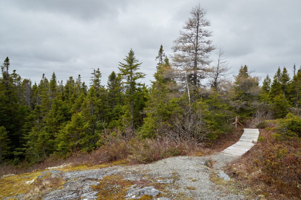 Blue Hill Overlook