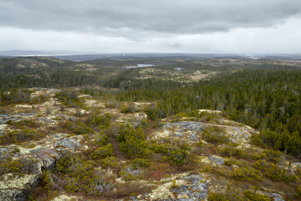 Ochre Hill Viewpoint