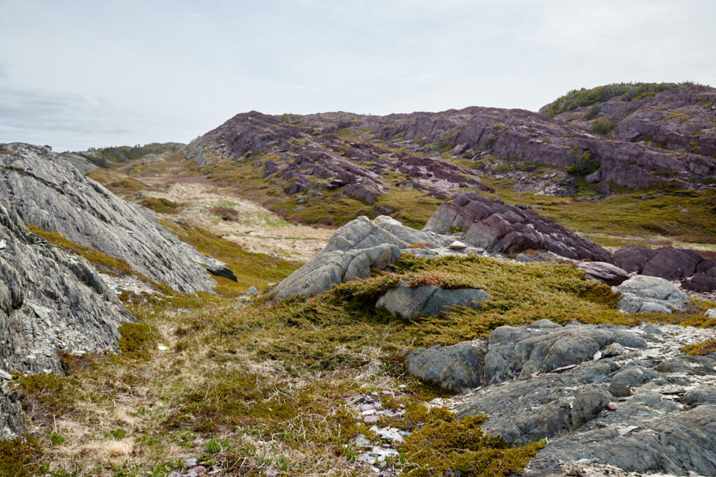 Tickle Cove Arch