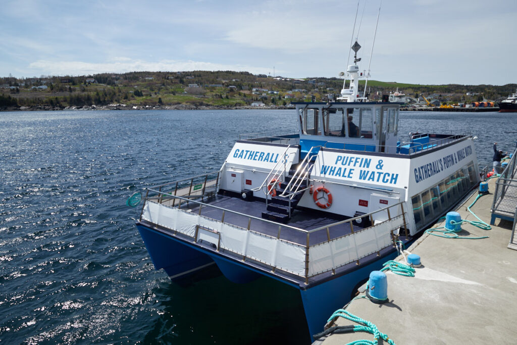 Witless Bay Ecological Reserve