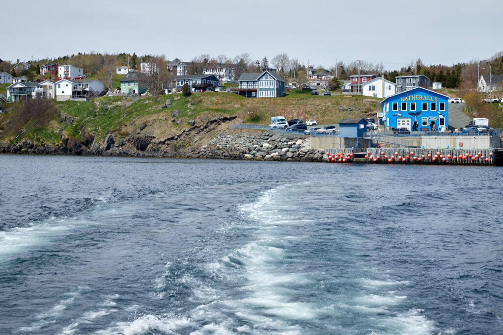 Witless Bay Ecological Reserve
