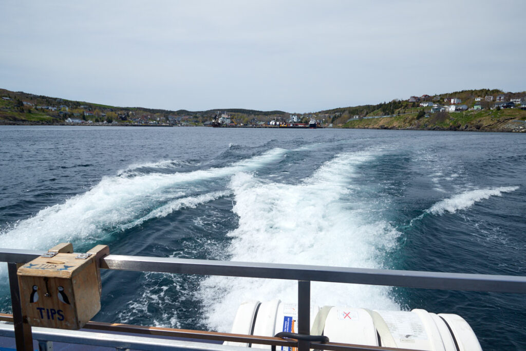 Witless Bay Ecological Reserve