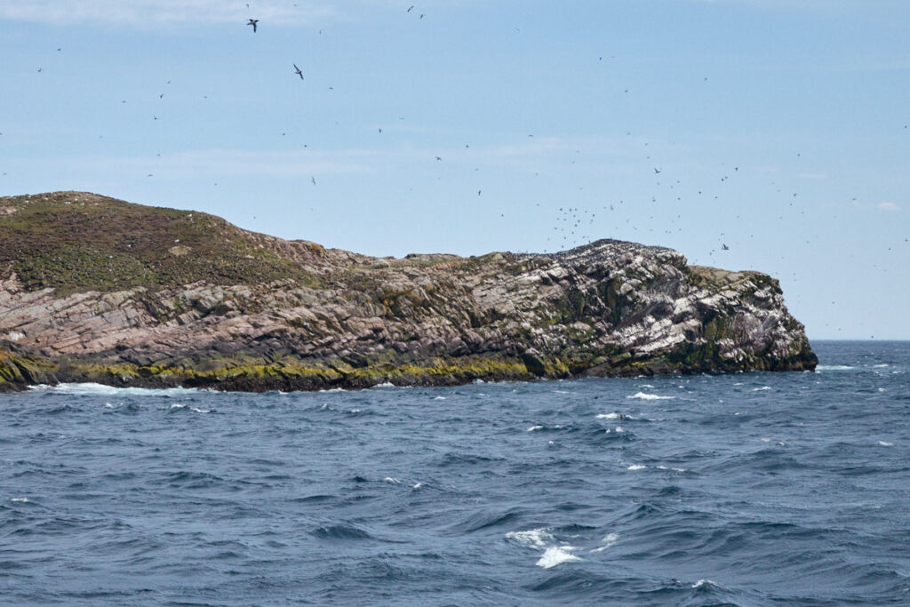 Witless Bay Ecological Reserve