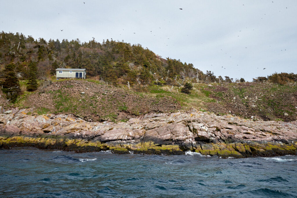 Witless Bay Ecological Reserve
