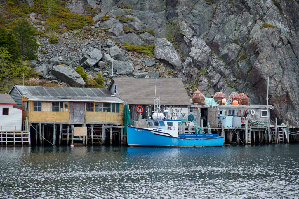 Quidi Vidi