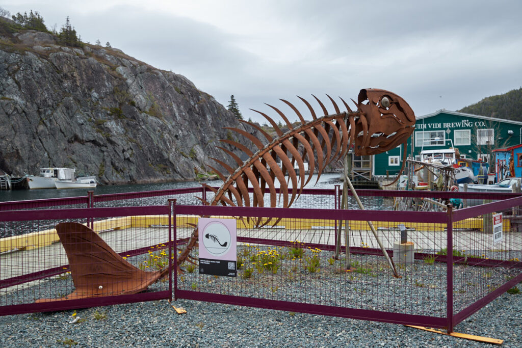 Quidi Vidi