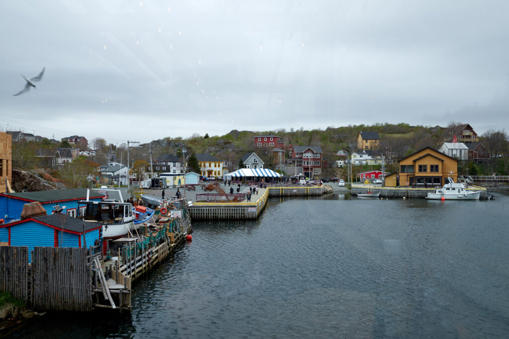 Quidi Vidi