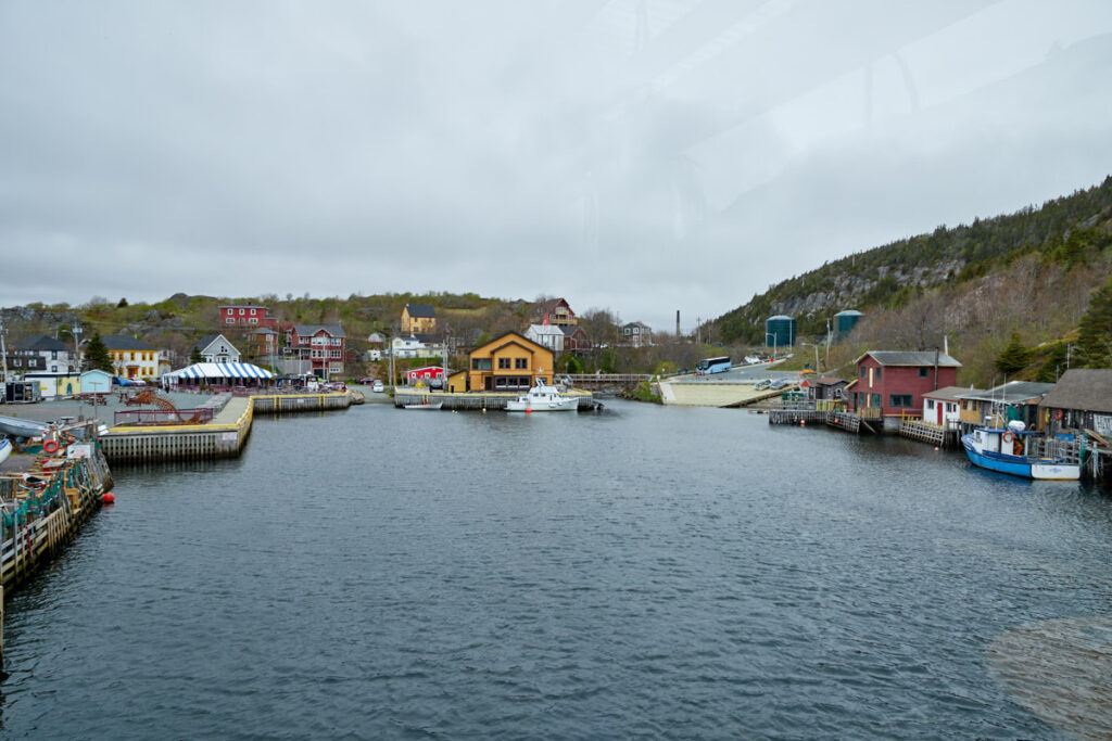 Quidi Vidi