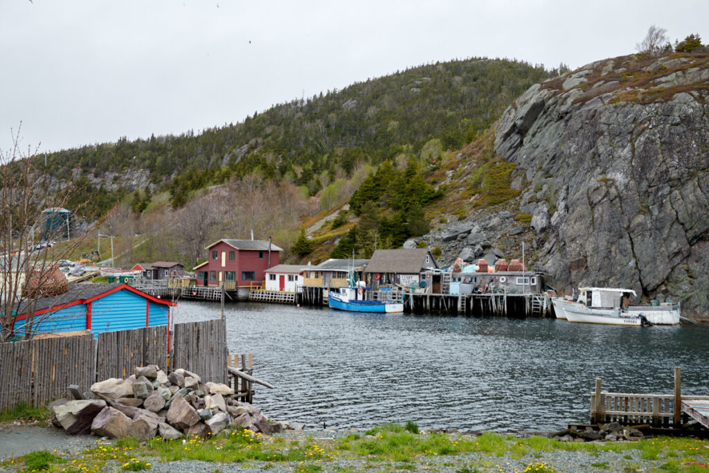 Quidi Vidi
