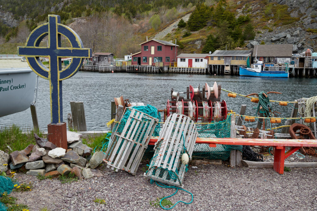 Quidi Vidi